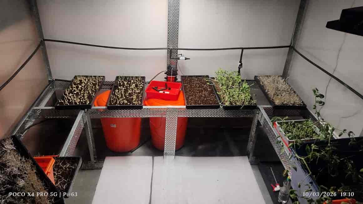 Multiple crop trays growing inside the controlled environment